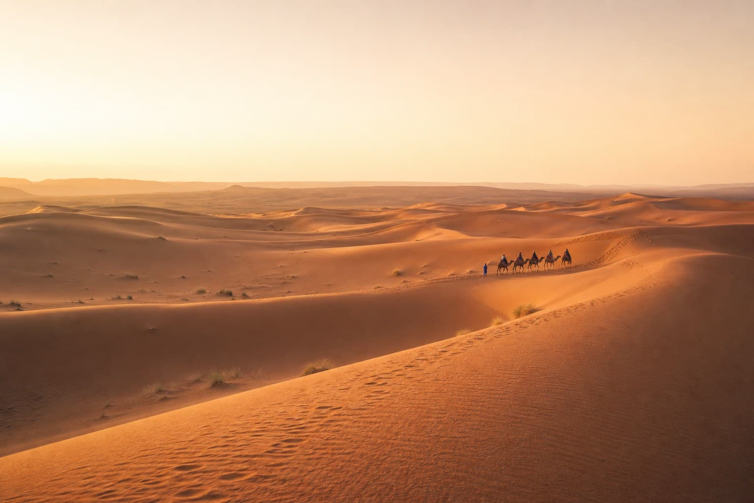 The Colors of Morocco