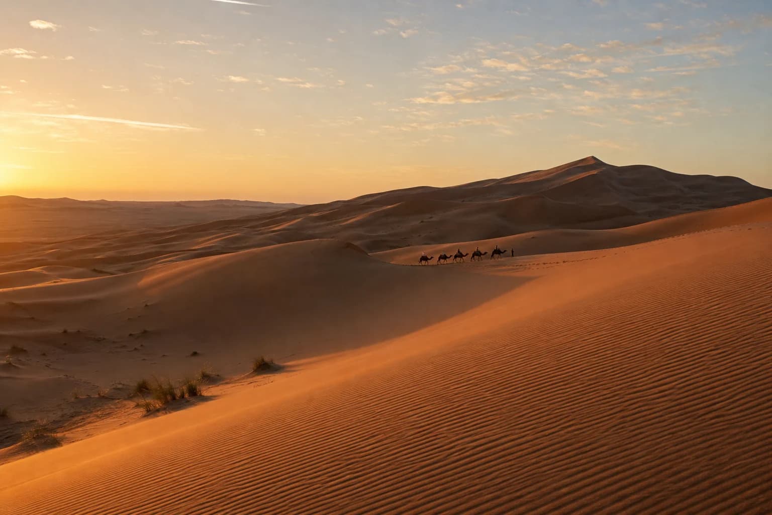 A camel caravan crossing the golden Erg Chebbi dunes near Merzouga at sunrise